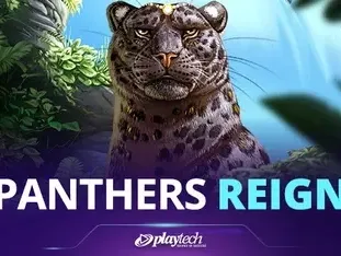 Panther's Reign thumbnail